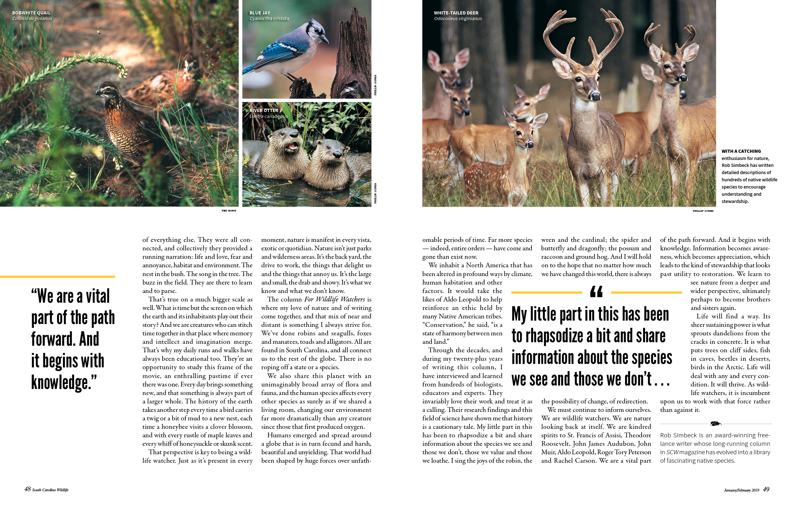 Third spread of Notes from a Wildlife Watcher. Includes photos of bobwhite quail, a blue jay, river otters, and white-tailed deer.